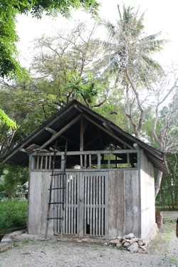 Mengenal Kerajaan Insana dan Istana Raja Taolin