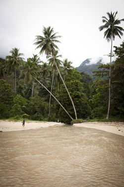 Menikmati Kelapa Muda di Air Belanda