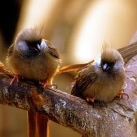  Social Media itu Komunikasi Dua Arah 