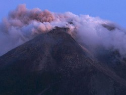 Belasan Sapi Warga Merapi Mati, Puluhan Lainnya Sekarat