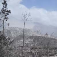 Hutan Tempat Mbah Maridjan Melakukan Ritual Hangus 