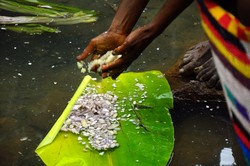 Mencari Garam di Gunung
