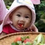 Azkya Oktavania Fitri, 5 Bulan; Perempuan; f