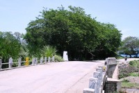 Antara Indonesia-Timor Leste di Jembatan Air Mata