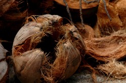 Minyak Ajaib dari Pulau Selayar