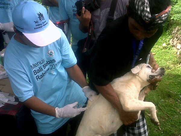 Vaksinasi Massal di Hari Rabies Sedunia