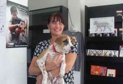 Cara Menghindari Gigitan Anjing pada Anak