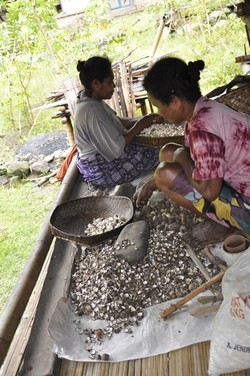 Suat Desa Terpencil di Daerah Alor Kecil