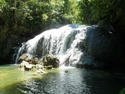 Berpedoman Pada Suara Alam