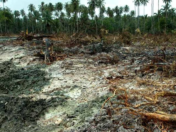 Mentawai Porak-poranda