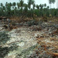 2 KRI Pengangkut Bantuan Tiba di Mentawai