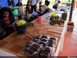 Mencari Gedung Pari, Mendapat Pinang Sirih