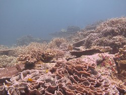 Surga di Kaki Gunung Api