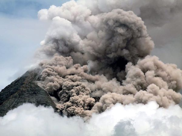 Wedhus Gembel Merapi Turun Lagi