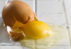 Kulit Telur Bisa Serap Pemanasan Global