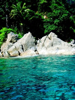 Keanekaragaman Hayati Seri