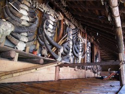 Mengenal Rumah Tradisional Sumba