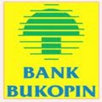 Bagaimana Cara Mendapatkan Kartu Kredit Platinum Bank Bukopin 