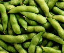 Memilih Edamame