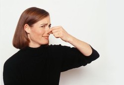 Cara Baru Hilangkan Bau Tak Sedap di Rumah