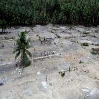 Pemprov Sumbar: Gubernur ke Jerman untuk Cari Investor