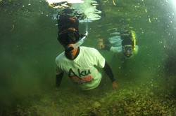 Tetap Cintai Indonesia