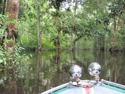 Membelah  Sungai Kapuas