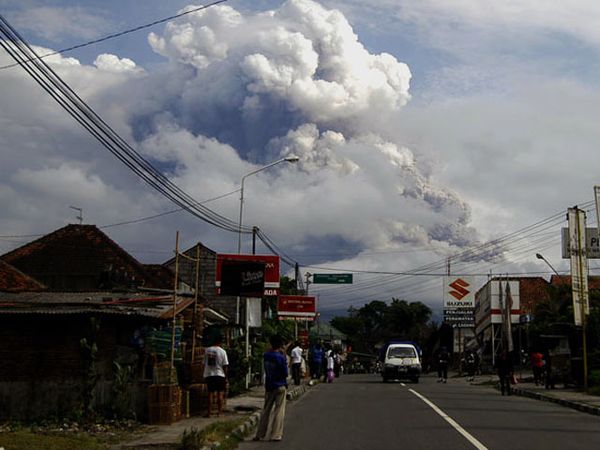 Wedhus Gembel Muncul Jelang Kedatangan SBY