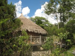 Baliem Valley Resort