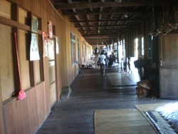 Rumah Betang Meliau (Home Stay)