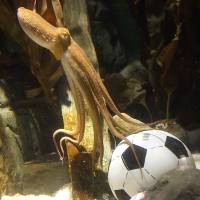 Ada Paul Baru di Oberhausen