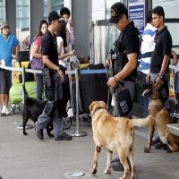 Polisi Filipina Tangkap 5 Orang karena Mencuri Bahan Peledak
