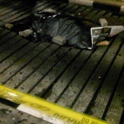 Lompat dari Flyover Tol Dukuh, Pria Tanpa Identitas Tewas Seketika