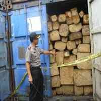 9 Kontainer Kayu Ilegal Diamankan