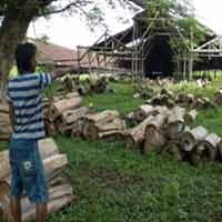 Wanita Gendong Anak & Ular Raksasa Paling Sering Muncul