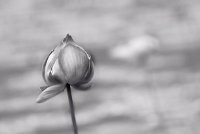 Gairah Bercinta Di Ruang Puisi