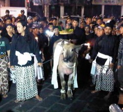 Tepis Ramalan Meresahkan, Komunitas Budaya di Yogya Sembelih Kerbau