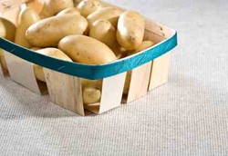 Makanan Sehat untuk Pasien Kemoterapi