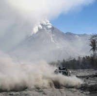 Gunung Merapi Belum Stabil, Macan Turun ke Pemukiman