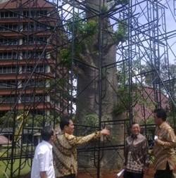 10 Ki Tamblek Raksasa Akan Menambah Keasrian UI