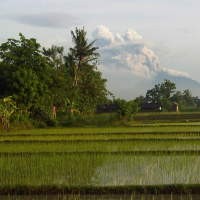 Merapi Ramah Pagi Ini