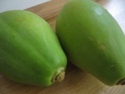 Pepaya Muda untuk Sayur
