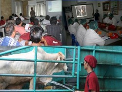 LPPOM MUI Gelar Pelatihan Penyembelihan Halal