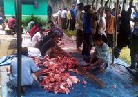 Pemotongan Hewan Kurban di Masjid Darul Jannah