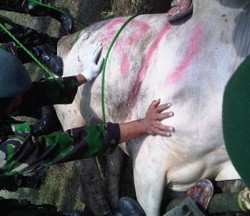 Diantar Mobil dan Truk, Ribuan Warga Mulai Serbu Istiqlal