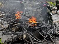Marinir Bakar 92 Sapi Korban Merapi