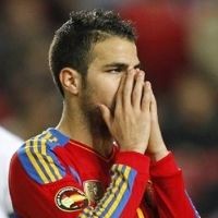 Dan Fabregas pun Minta Maaf