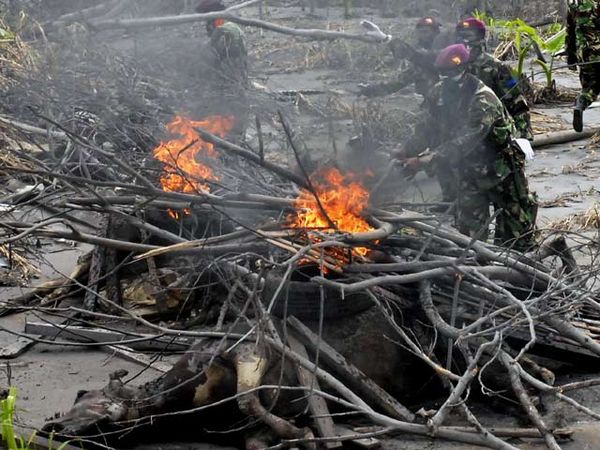 Marinir Bakar 92 Sapi Korban Merapi