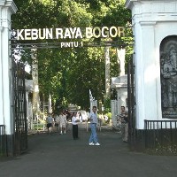 Malu Masuk ke Tempat Wisata Kebun Raya Bogor 