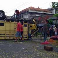 Truk Muat Cabe Tabrak Reklame dan 4 Pohon, 1 Orang Tewas